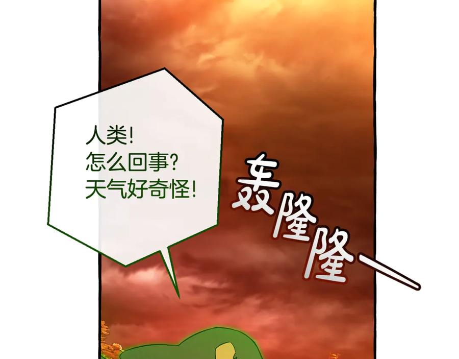 第206页