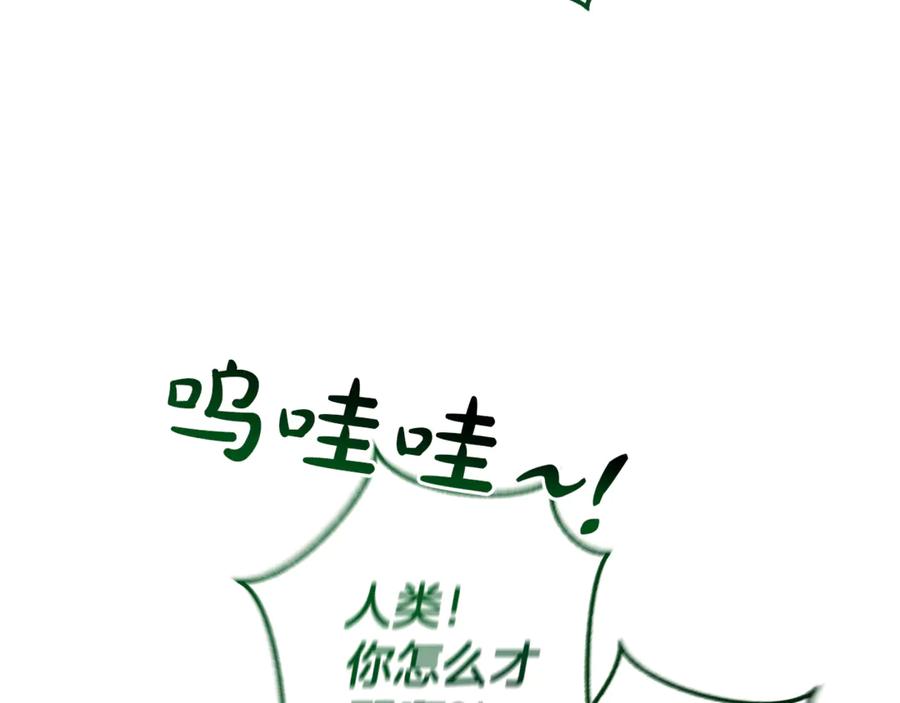 第215页