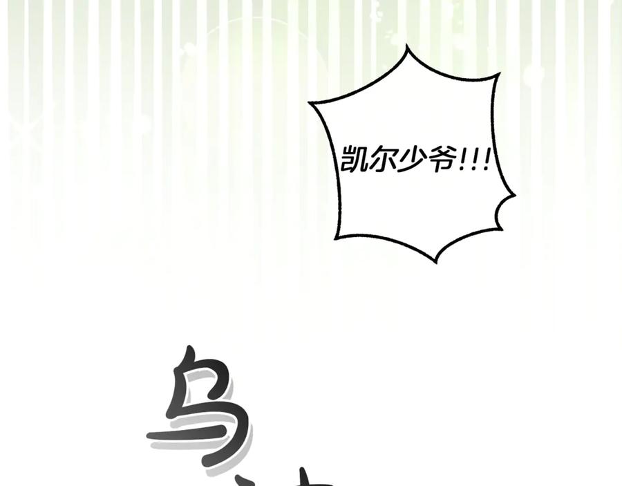 第223页