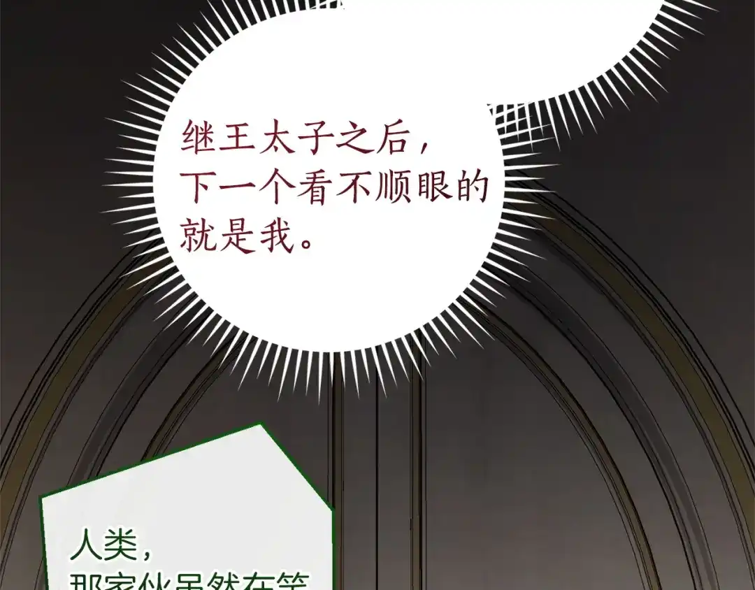 第206页