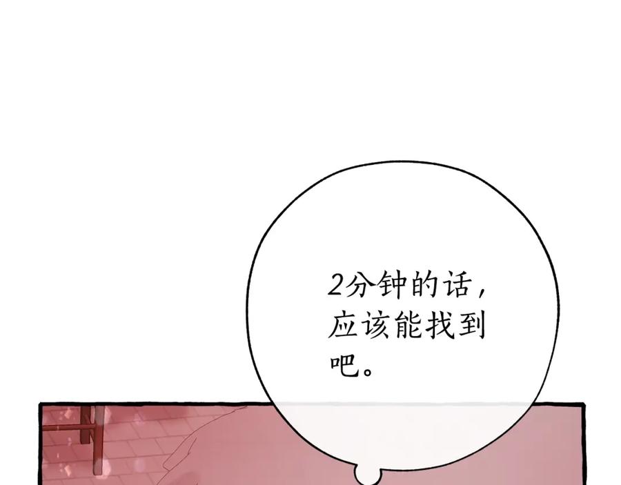 第242页