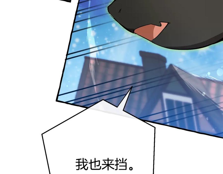 第223页