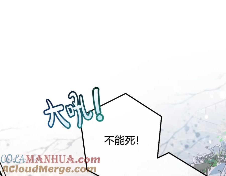第257页