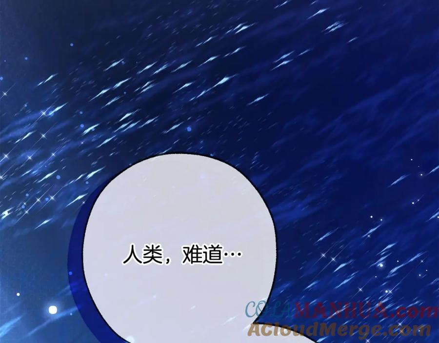 第221页