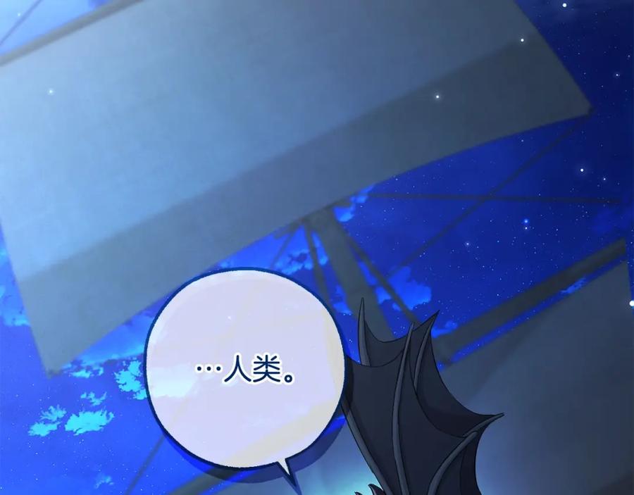第238页