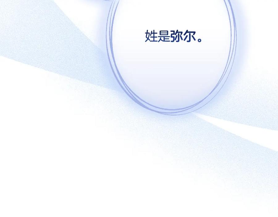 第243页