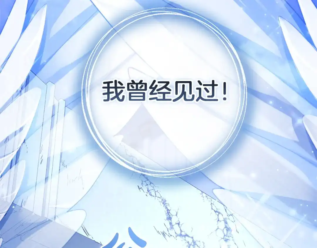 成为伯爵家的废物 第176话 银光公子再现 第73页