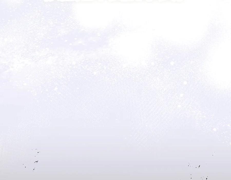第223页