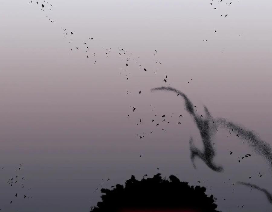 第224页