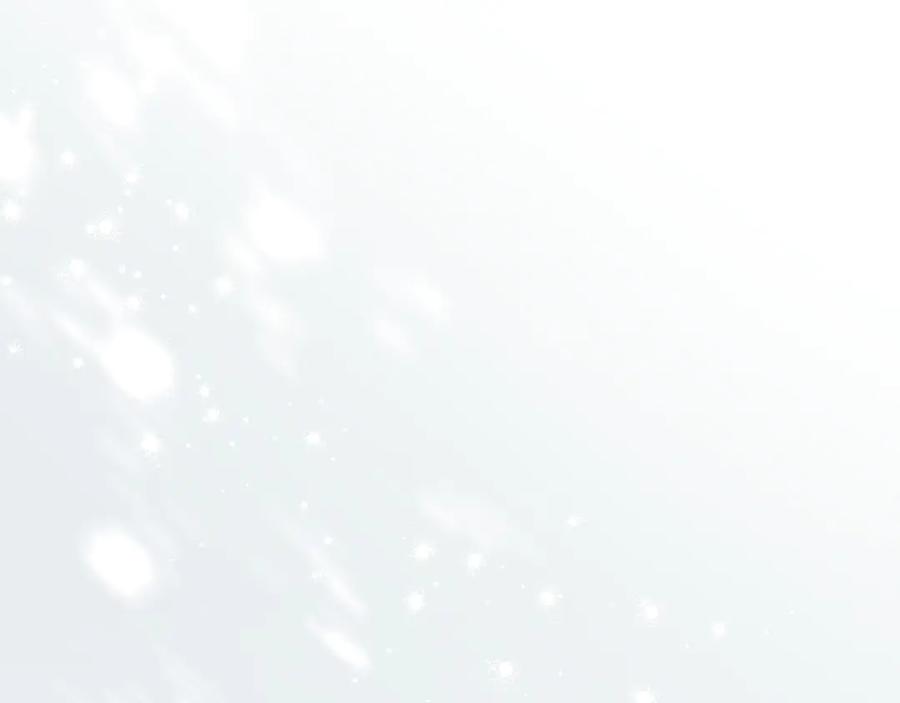 第262页