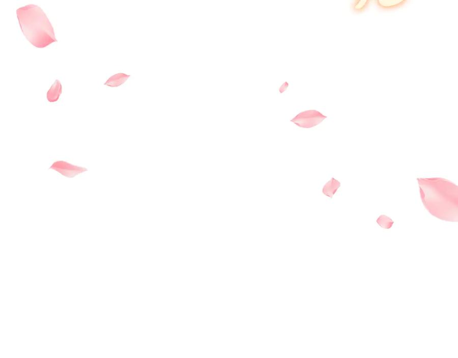 第215页
