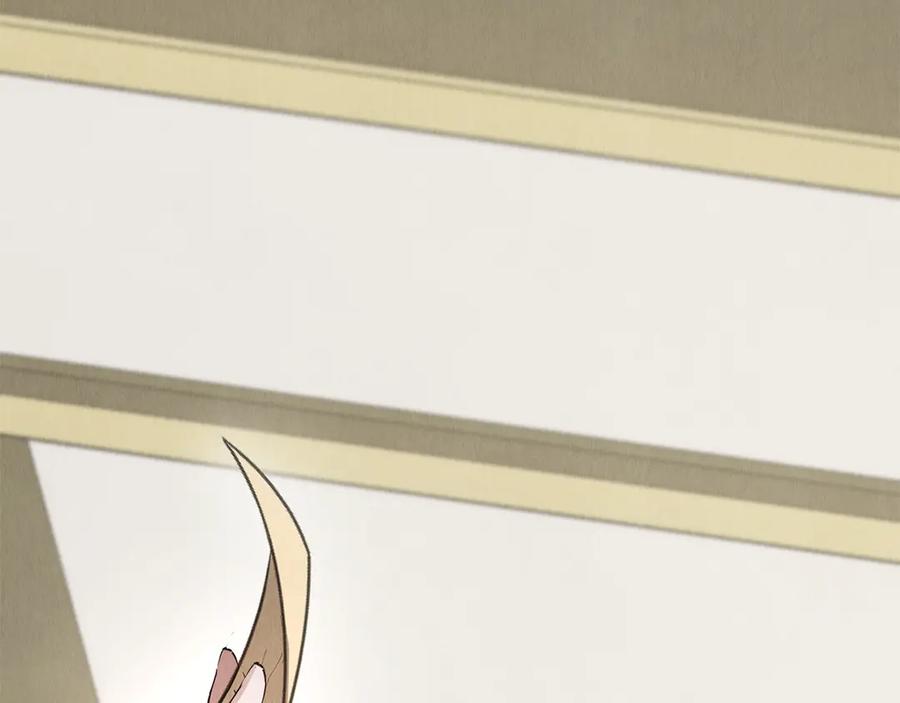 第255页