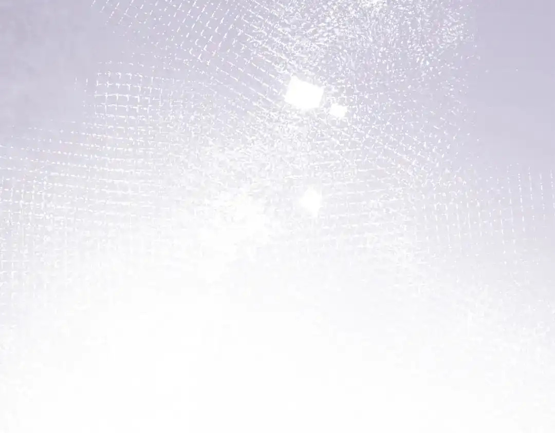 第250页