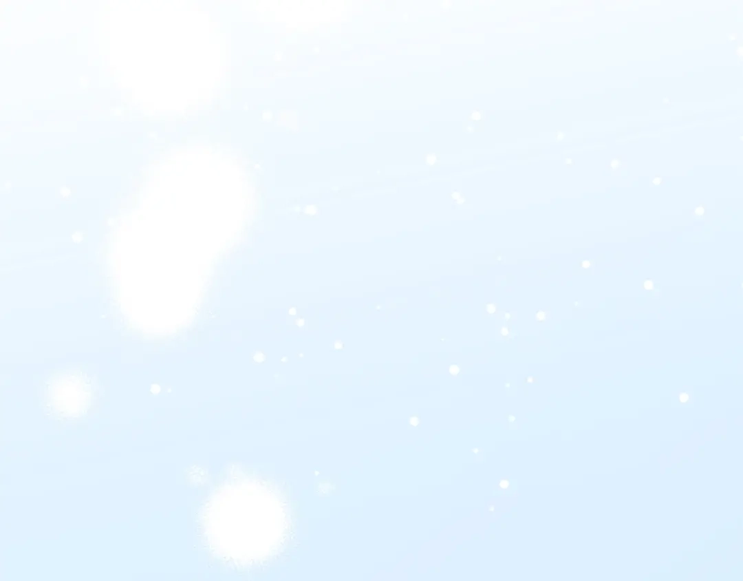 第260页