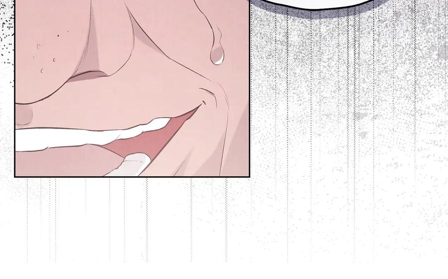 第236页