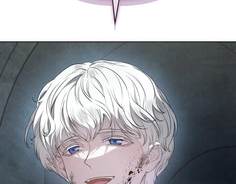 第260页