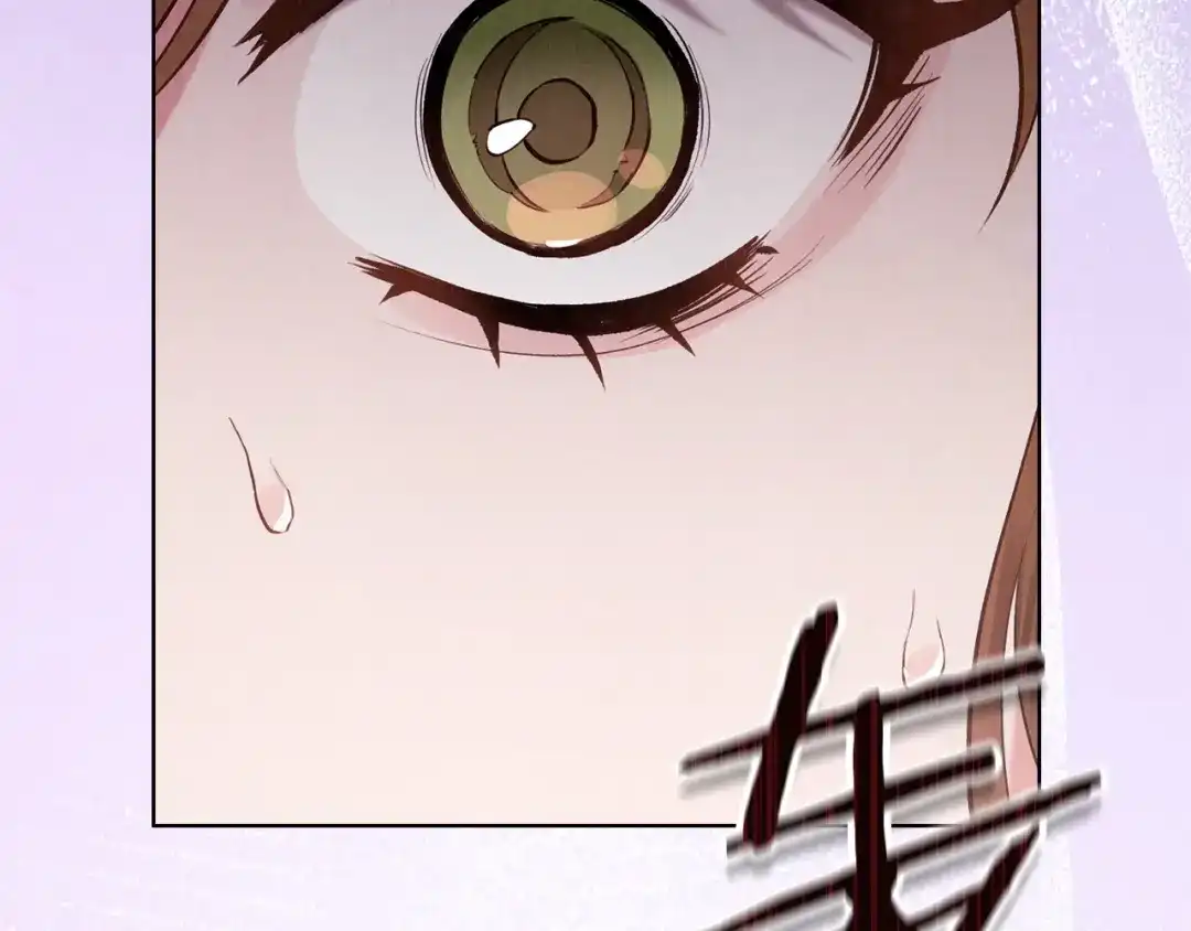 第240页