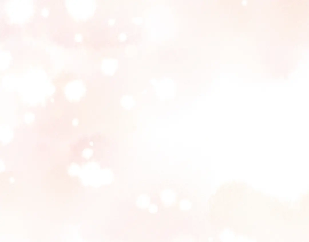 第242页