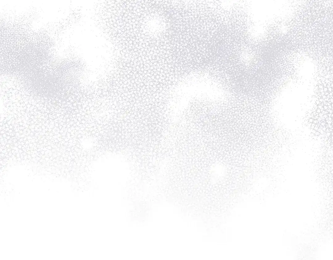 第275页