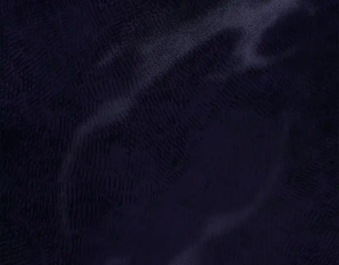 第196页