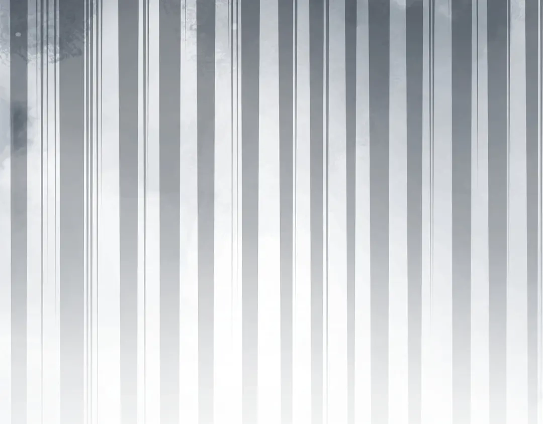 第239页
