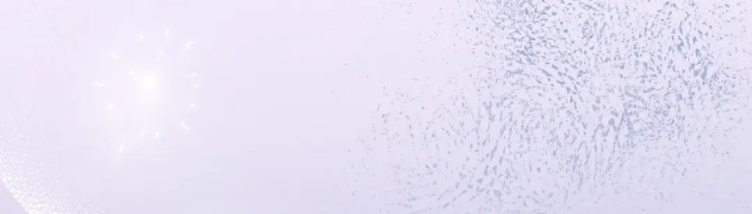 第251页