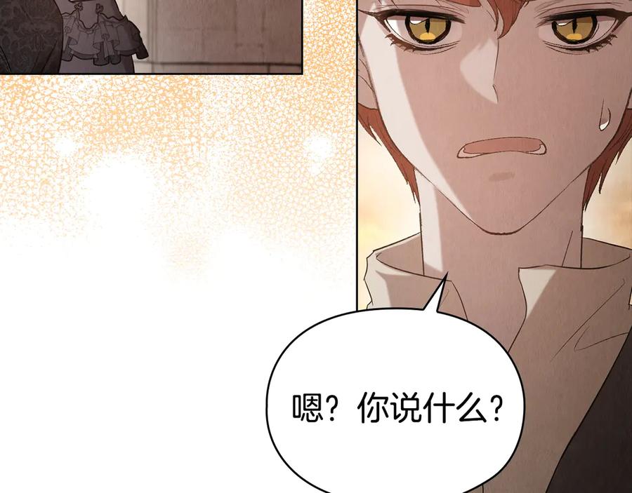 第243页