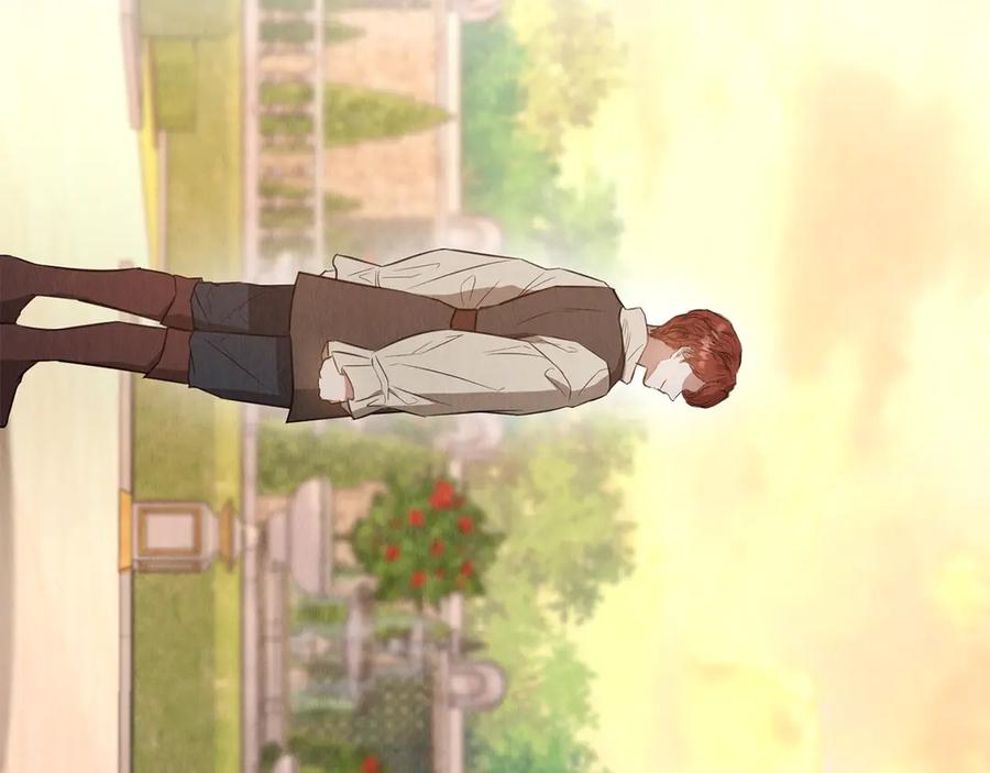 第258页