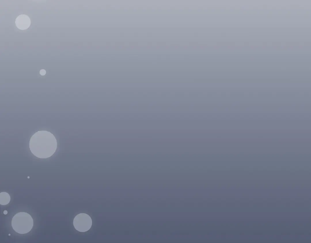 第247页