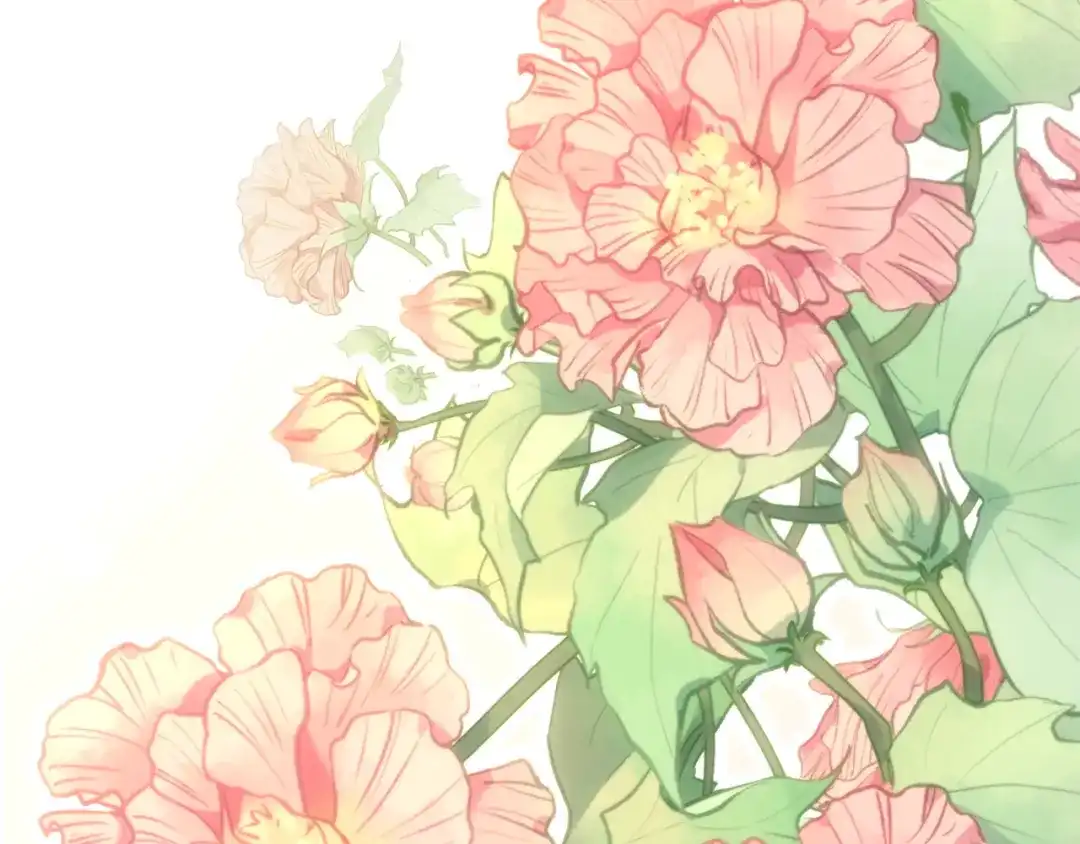 第294页