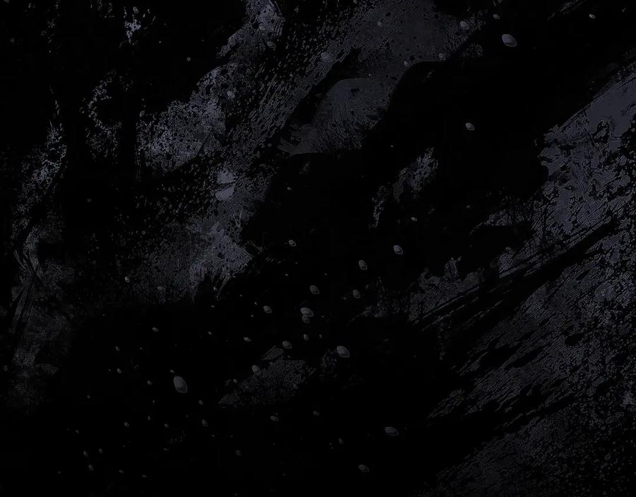 第223页