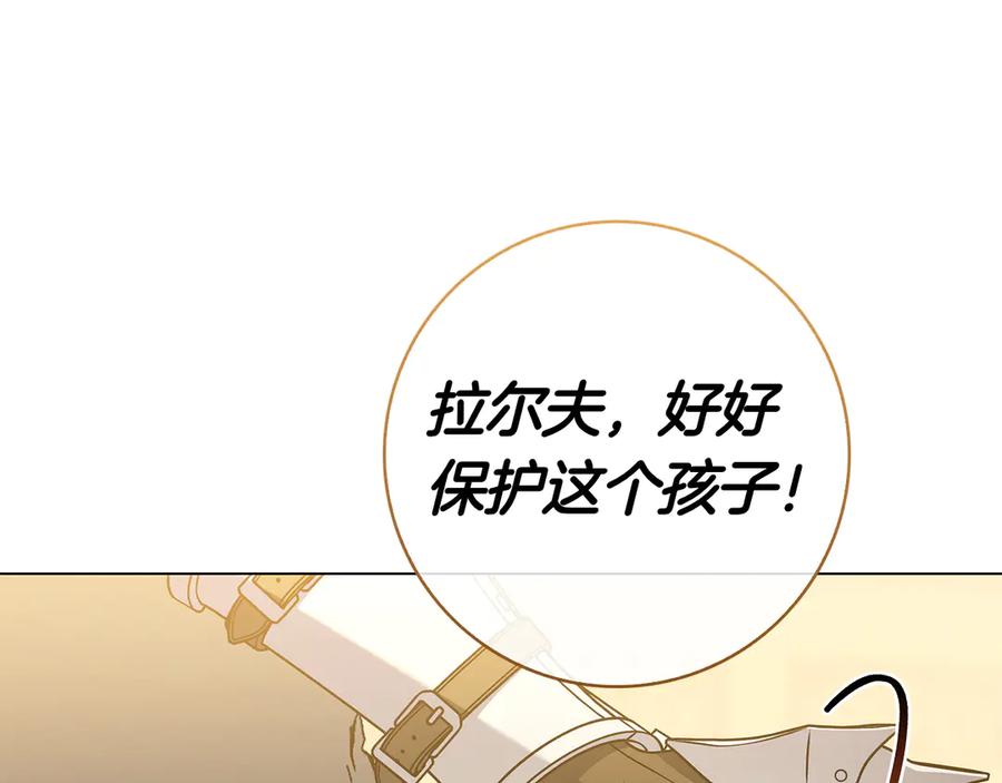 第238页