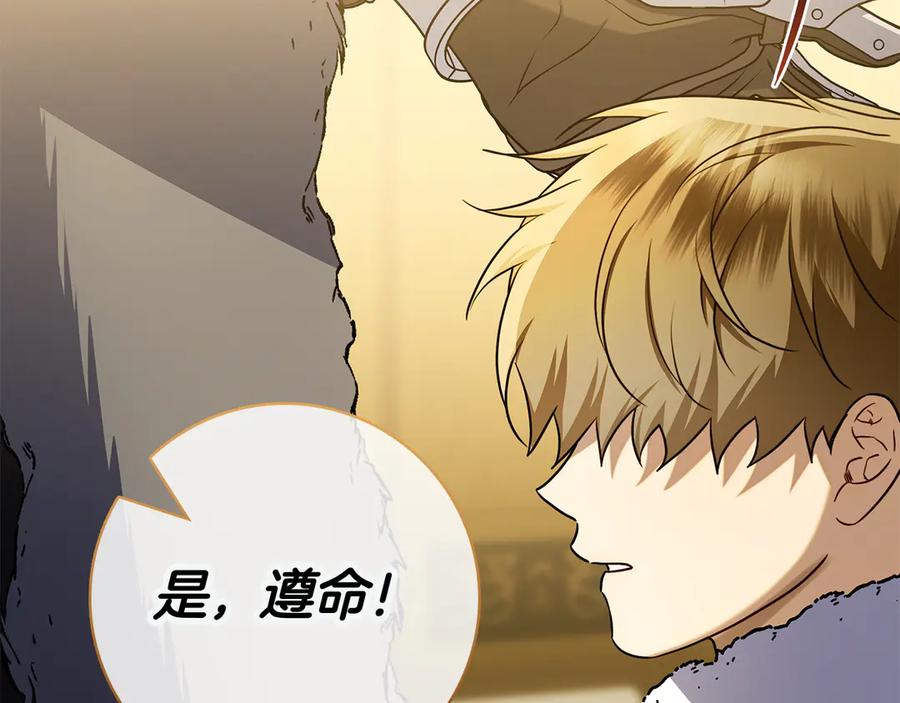 第239页