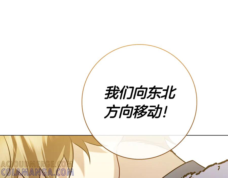 第241页
