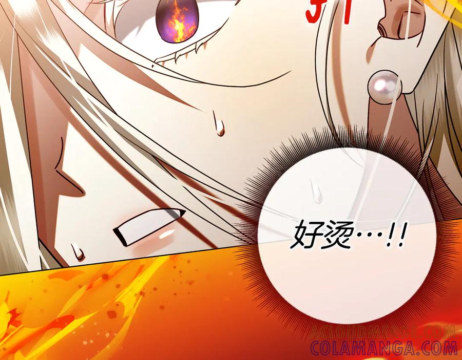 第241页