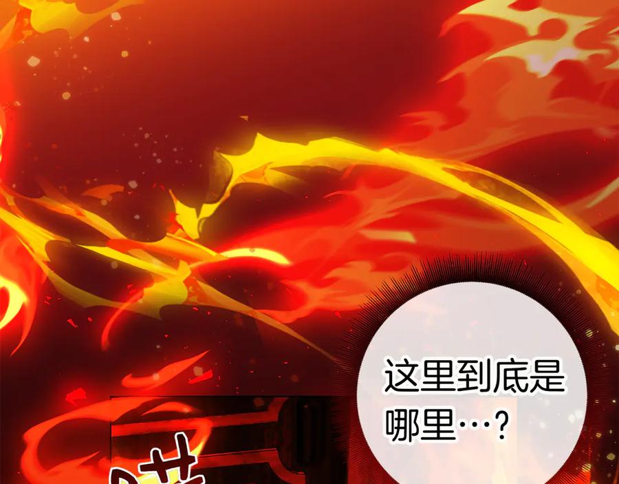 第242页