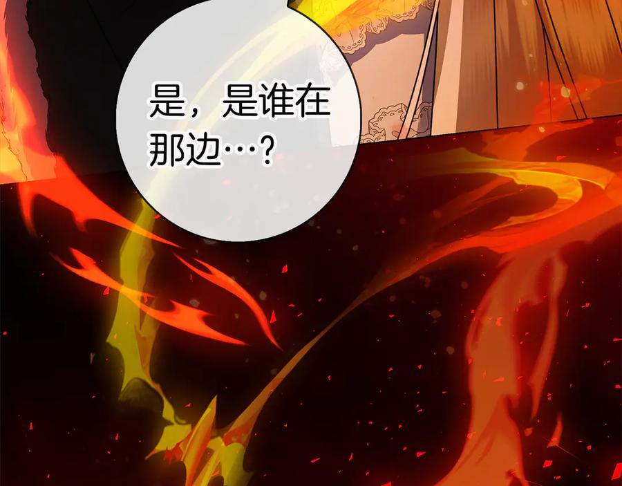 第248页