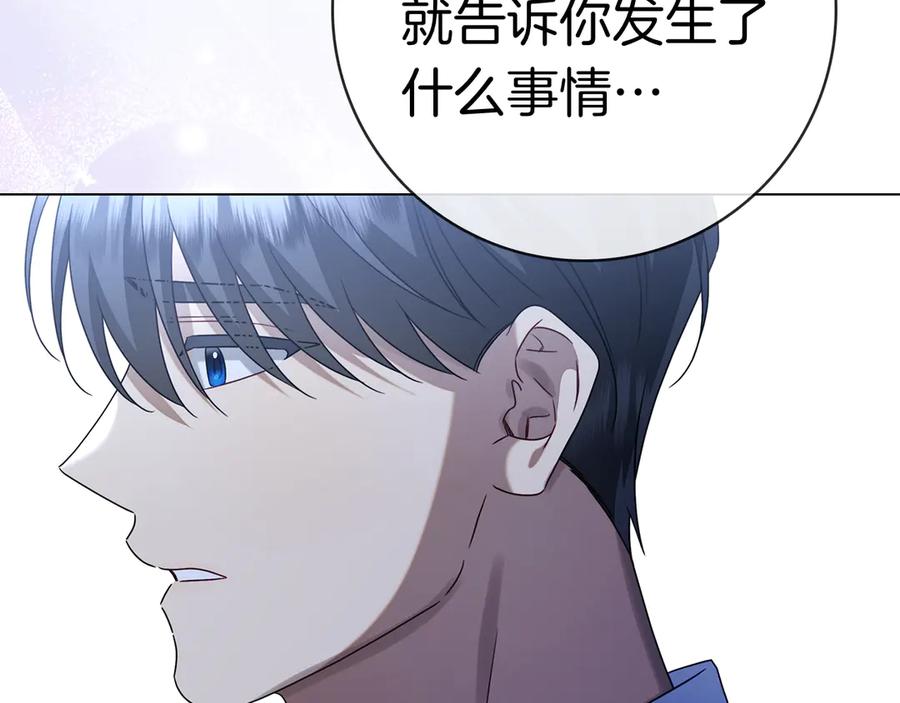 第223页