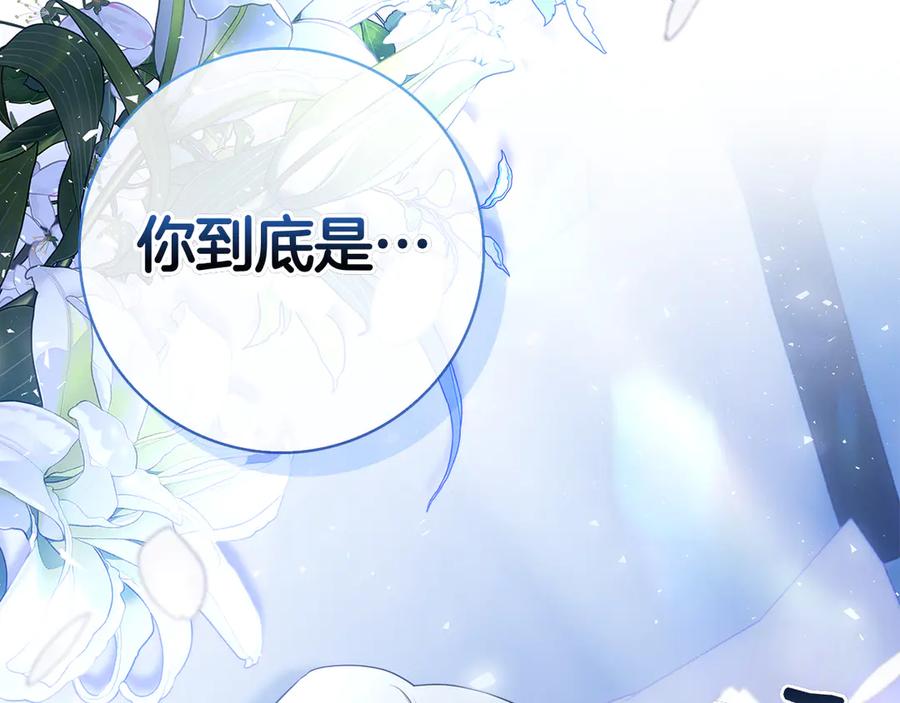 第242页