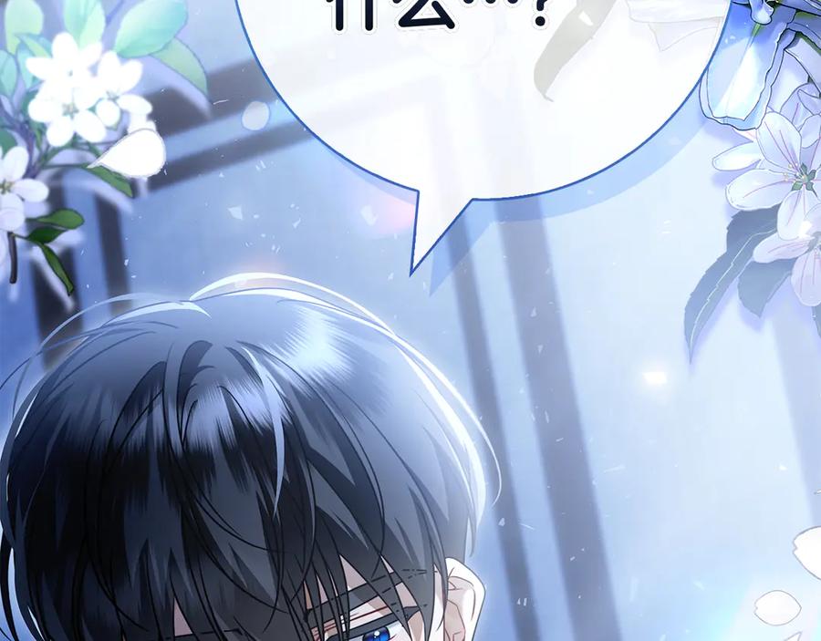 第247页
