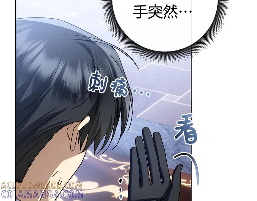 第221页