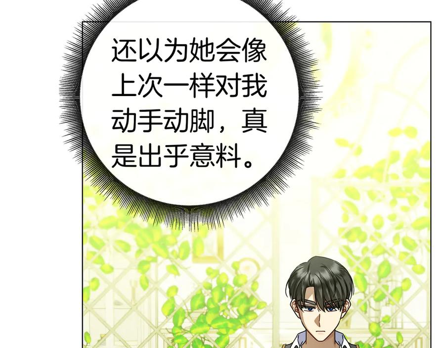 第242页