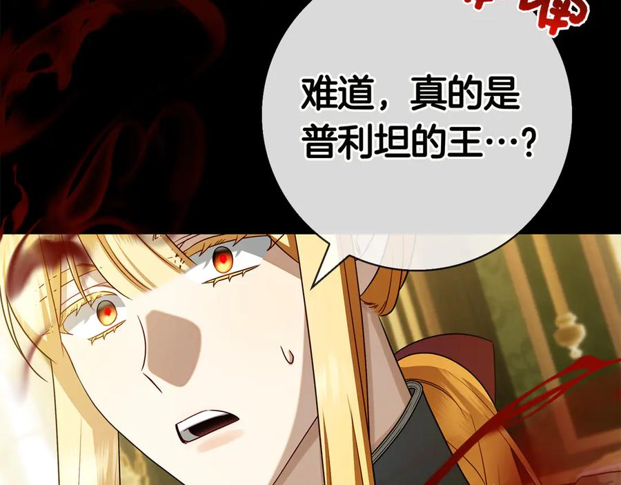 第211页