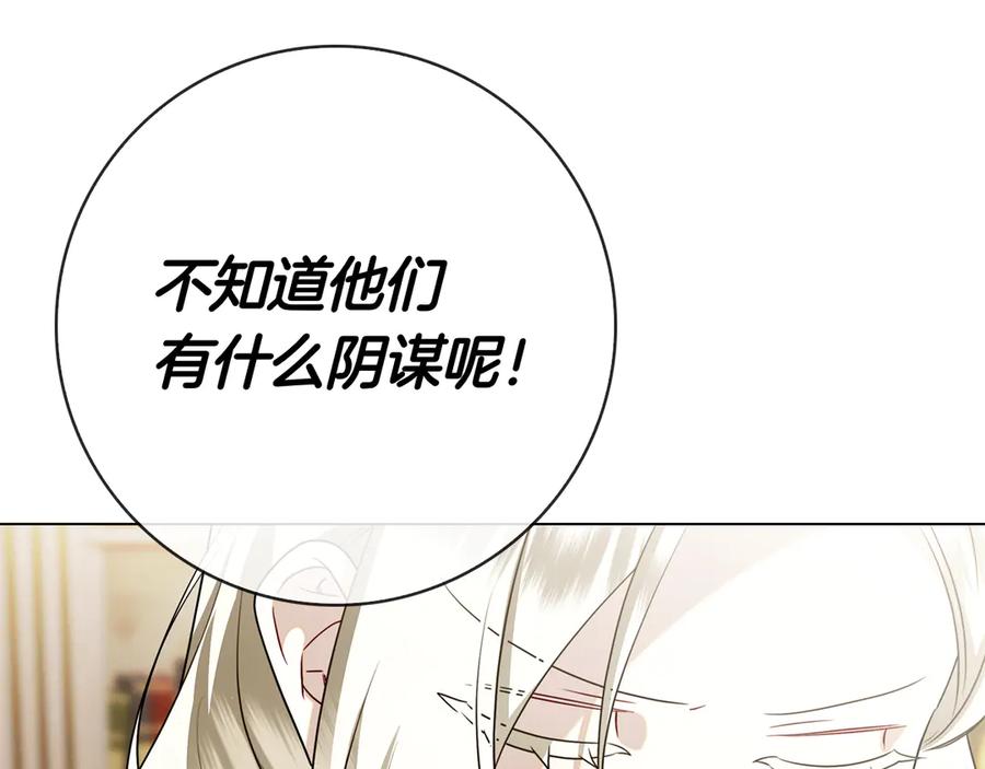 第246页