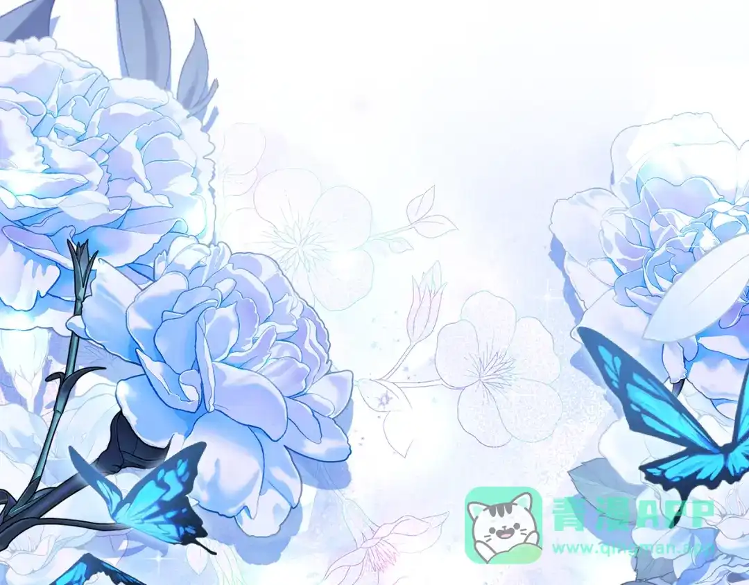 第251页