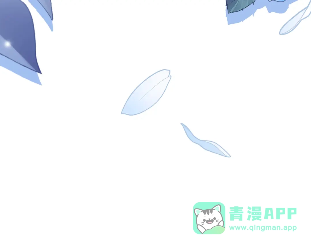 第256页