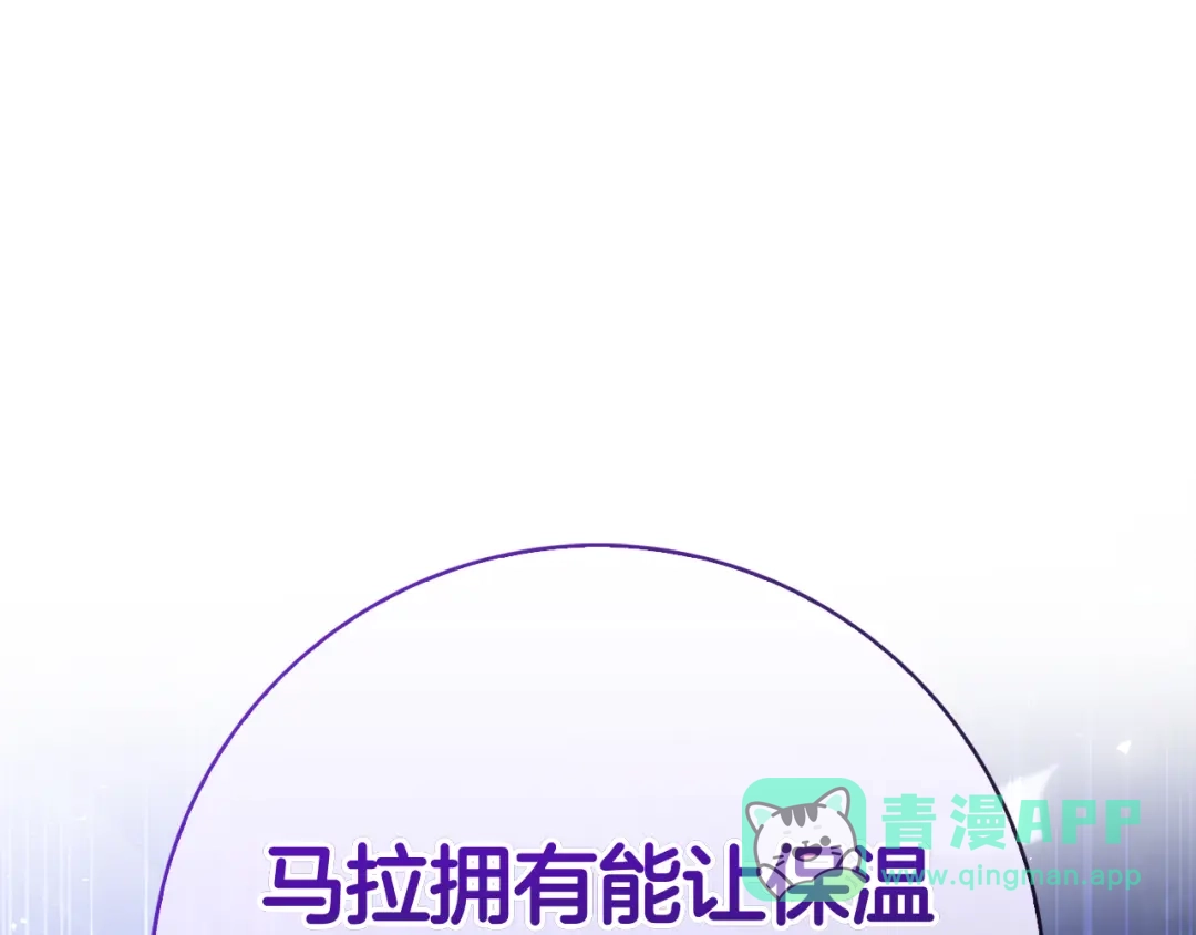 第221页
