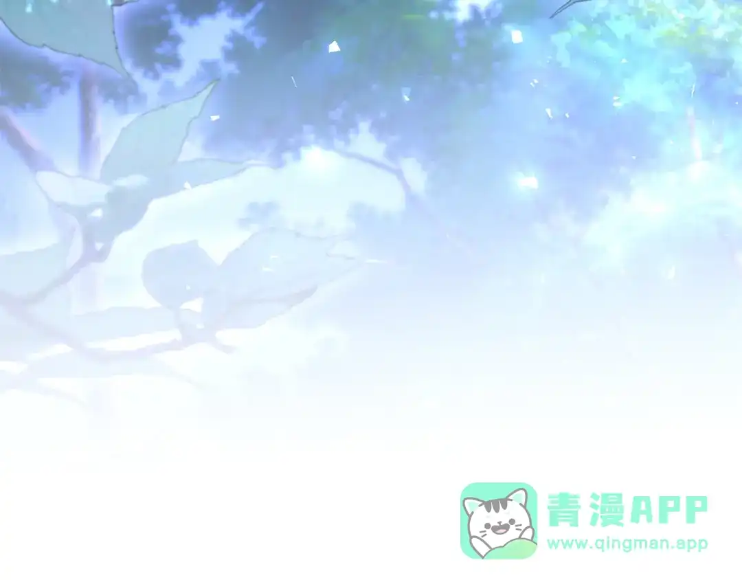 第261页