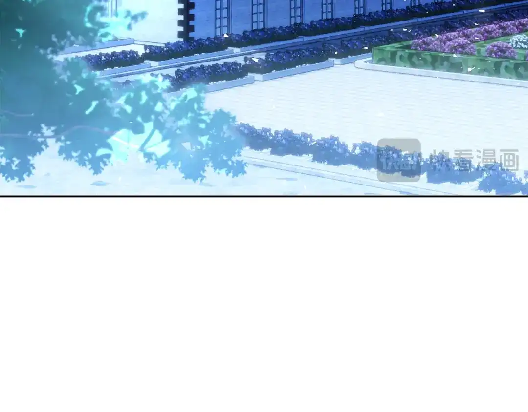 第217页