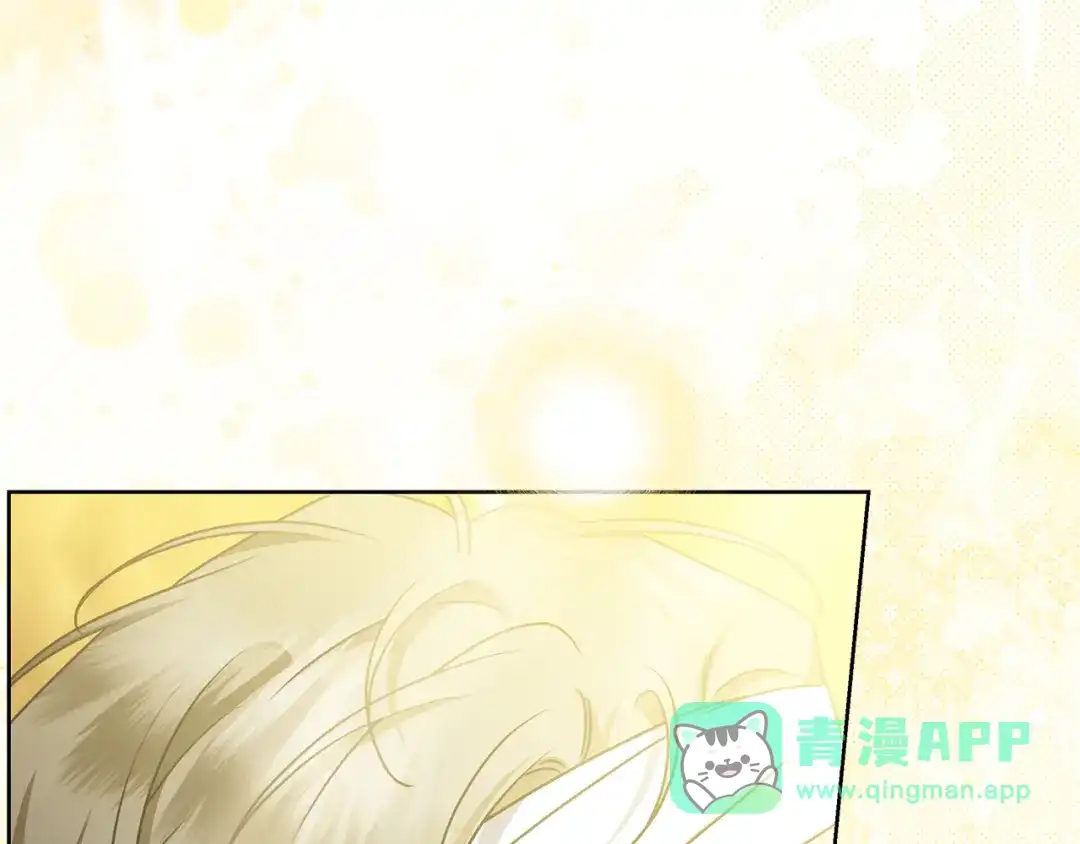 第221页